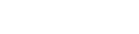 WiseUnit